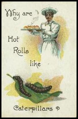 01LBC 15 Why are hot rolls like caterpillars.jpg